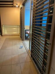 Rivervale Link (D19), Terrace #461646131
